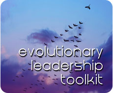 Evolutionary Leadership Toolkit